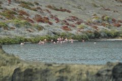 galapagoseilanden6554