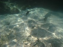 galapagoseilanden6751