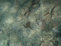 galapagoseilanden6753