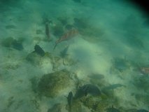galapagoseilanden6759