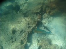galapagoseilanden6764