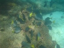 galapagoseilanden6768