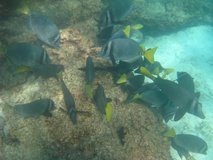 galapagoseilanden6769