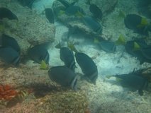 galapagoseilanden6773