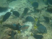galapagoseilanden6774