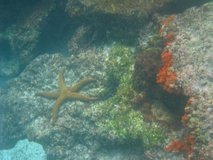 galapagoseilanden6778