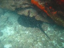 galapagoseilanden6779