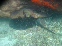 galapagoseilanden6780