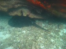 galapagoseilanden6783