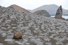 galapagoseilanden7010