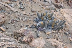 galapagoseilanden7013