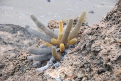 galapagoseilanden7030