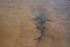 galapagoseilanden7055