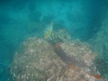 galapagoseilanden7255