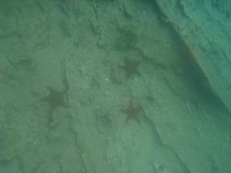 galapagoseilanden7262