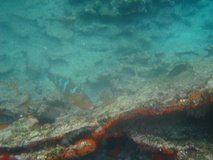 galapagoseilanden7263
