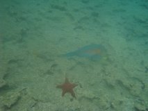 galapagoseilanden7264