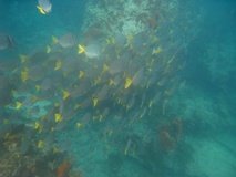 galapagoseilanden7268