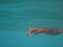 galapagoseilanden7273