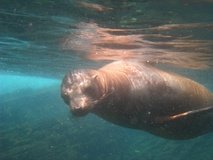 galapagoseilanden7277