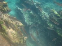 galapagoseilanden7281