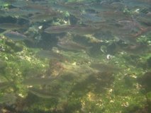 galapagoseilanden7285