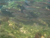 galapagoseilanden7286