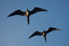 galapagoseilanden7515