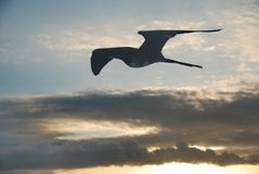 galapagoseilanden7523