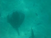 galapagoseilanden7756