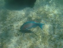 galapagoseilanden7757