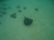 galapagoseilanden7761