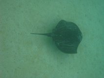 galapagoseilanden7763