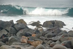 galapagoseilanden8003