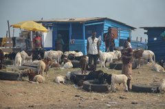 ghana1059