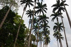 ghana5039