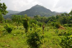 ghana6051