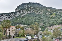gibraltar5014