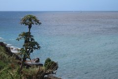 grenada1161