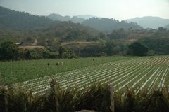 guatemala4106