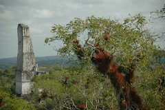 guatemala5024
