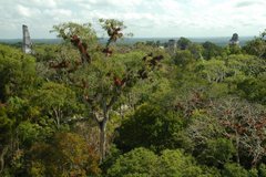 guatemala5028