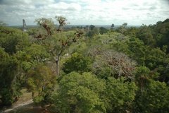 guatemala5034