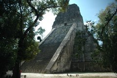 guatemala5050