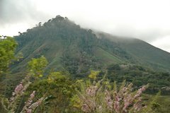 honduras3101
