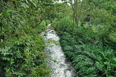 honduras3106