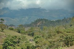 honduras3120