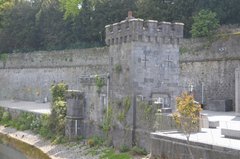 ierland2008
