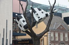 ierland3128