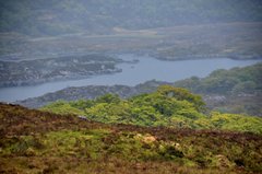 ierland5081